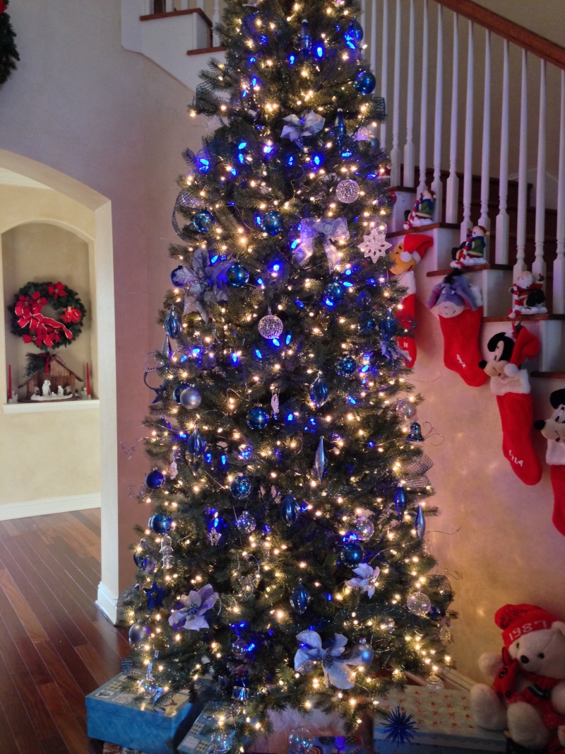 2013-12-14 08-38-07 Pre Christmas Decor.jpg